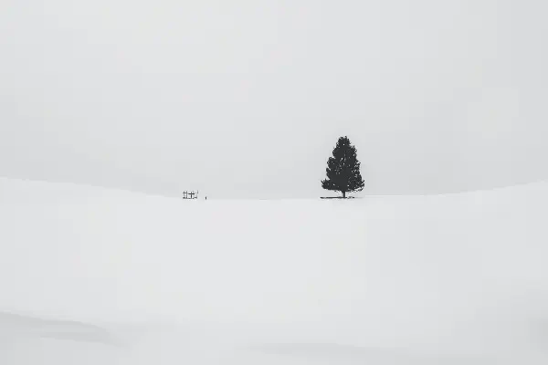 CapsLock 键切换中英文