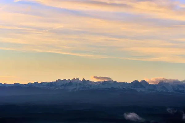 Mac 上 LaunchPad 中图标混乱或无效